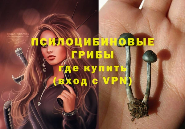 прущие крисы Баксан